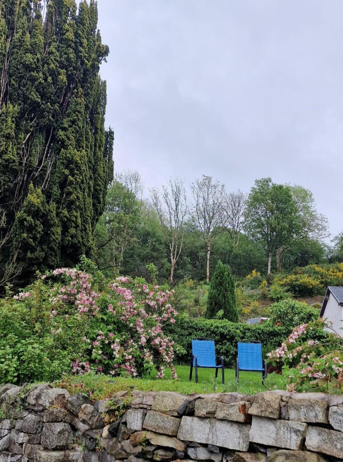 Nordlys Cottage 牛顿斯图尔特 外观 照片